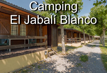Camping El Jabalí Blanco