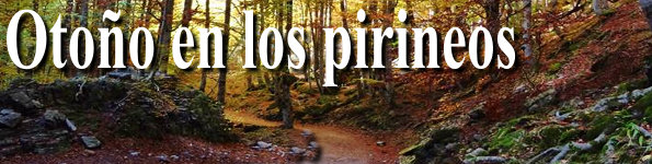Ver especial Otoño en los pirineos te esperamoa Ver especial Otoño en los pirineos